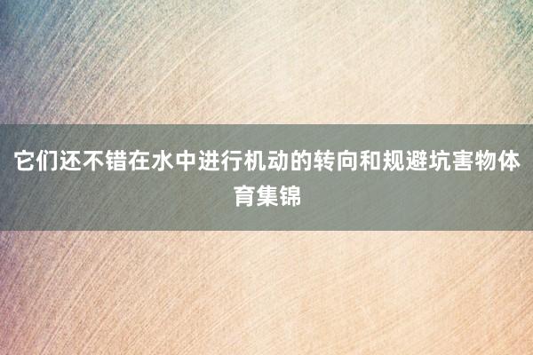 它们还不错在水中进行机动的转向和规避坑害物体育集锦