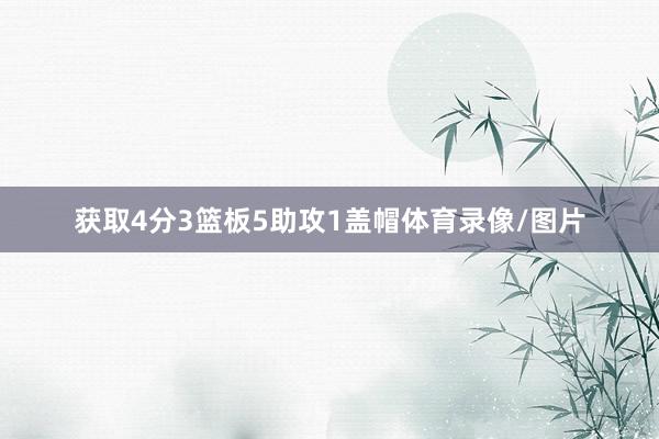 获取4分3篮板5助攻1盖帽体育录像/图片