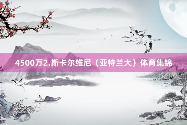 4500万2.斯卡尔维尼（亚特兰大）体育集锦