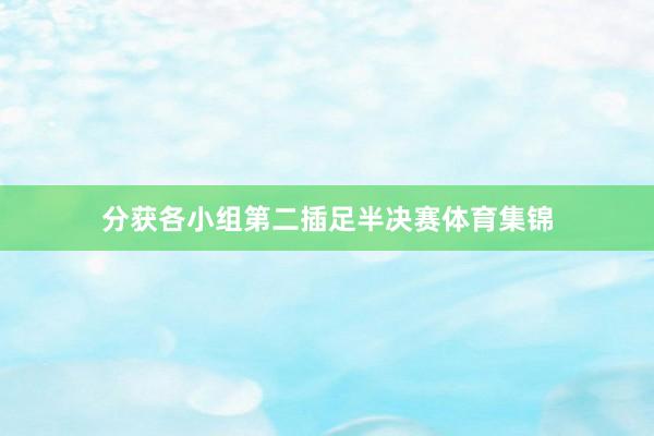 分获各小组第二插足半决赛体育集锦