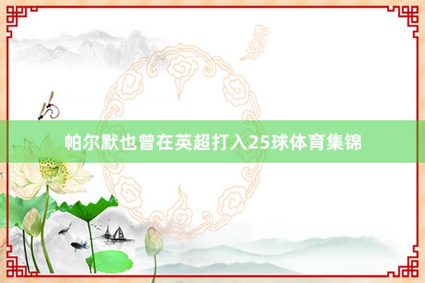 帕尔默也曾在英超打入25球体育集锦