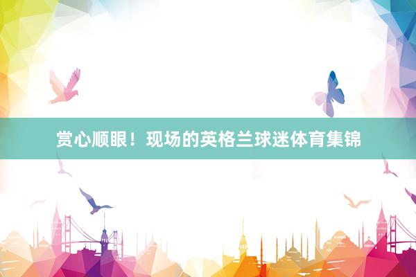 赏心顺眼！现场的英格兰球迷体育集锦