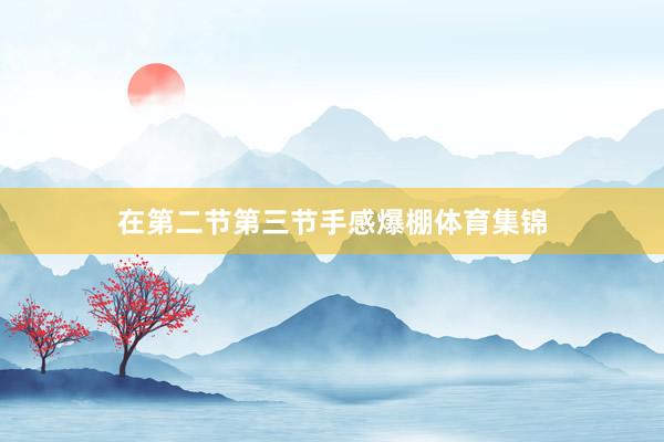 在第二节第三节手感爆棚体育集锦