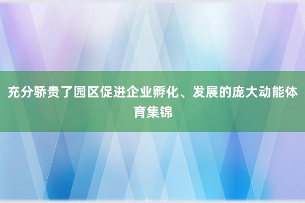 充分骄贵了园区促进企业孵化、发展的庞大动能体育集锦