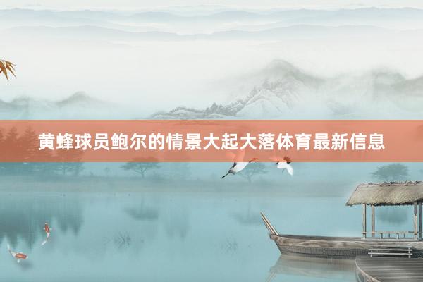 黄蜂球员鲍尔的情景大起大落体育最新信息