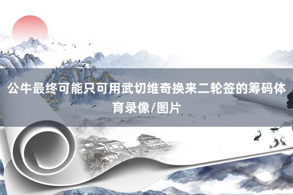 公牛最终可能只可用武切维奇换来二轮签的筹码体育录像/图片