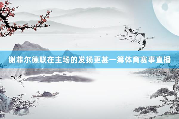谢菲尔德联在主场的发扬更甚一筹体育赛事直播
