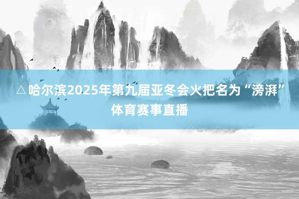 △哈尔滨2025年第九届亚冬会火把名为“滂湃”体育赛事直播