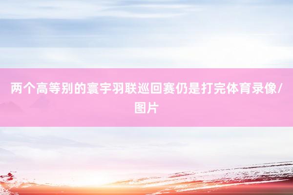 两个高等别的寰宇羽联巡回赛仍是打完体育录像/图片