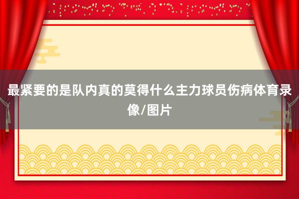 最紧要的是队内真的莫得什么主力球员伤病体育录像/图片