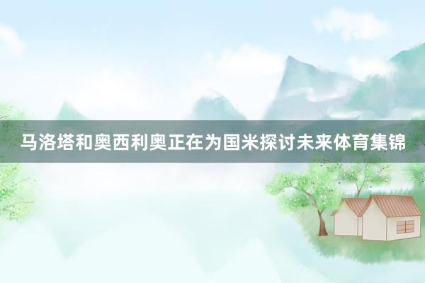 马洛塔和奥西利奥正在为国米探讨未来体育集锦