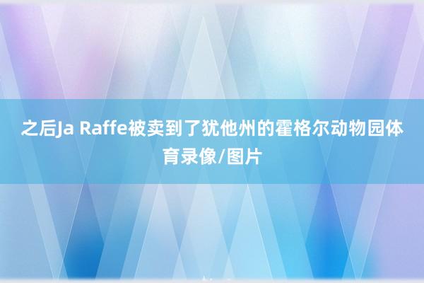 之后Ja Raffe被卖到了犹他州的霍格尔动物园体育录像/图片