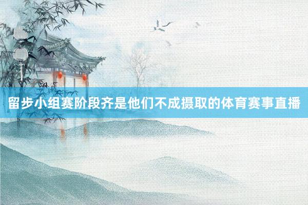 留步小组赛阶段齐是他们不成摄取的体育赛事直播