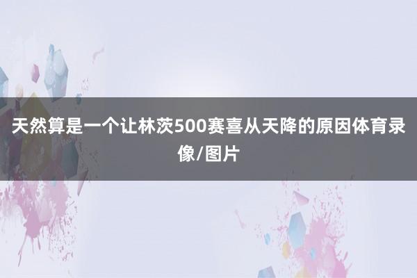 天然算是一个让林茨500赛喜从天降的原因体育录像/图片