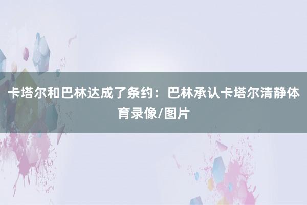 卡塔尔和巴林达成了条约：巴林承认卡塔尔清静体育录像/图片