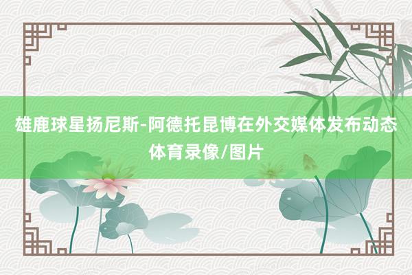 雄鹿球星扬尼斯-阿德托昆博在外交媒体发布动态体育录像/图片