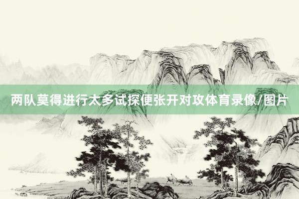 两队莫得进行太多试探便张开对攻体育录像/图片