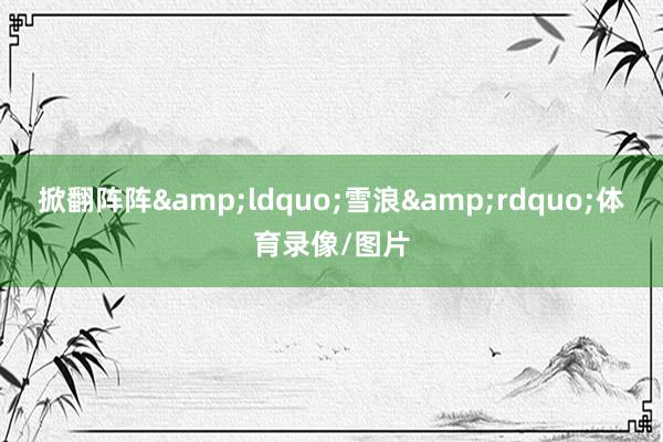 掀翻阵阵&ldquo;雪浪&rdquo;体育录像/图片