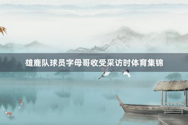 雄鹿队球员字母哥收受采访时体育集锦