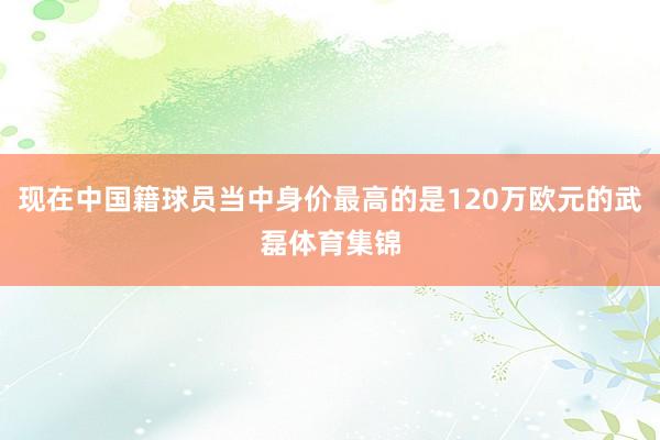 现在中国籍球员当中身价最高的是120万欧元的武磊体育集锦