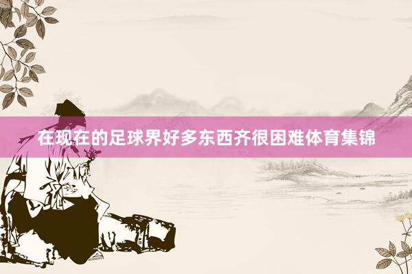 在现在的足球界好多东西齐很困难体育集锦