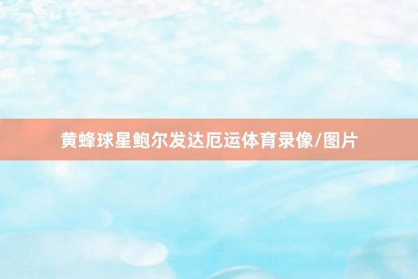 黄蜂球星鲍尔发达厄运体育录像/图片