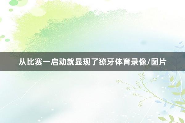 从比赛一启动就显现了獠牙体育录像/图片
