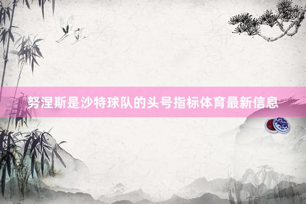 努涅斯是沙特球队的头号指标体育最新信息