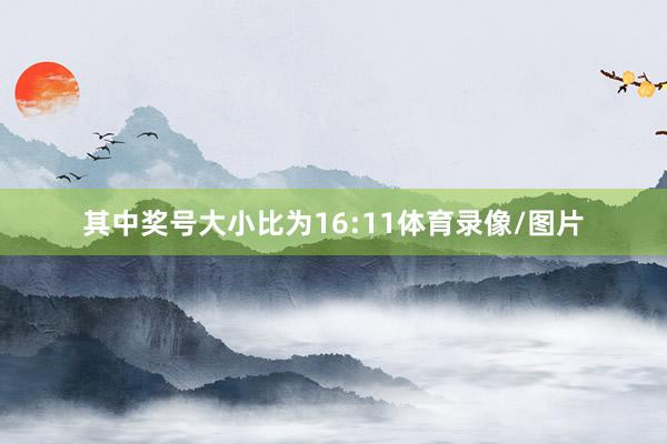 其中奖号大小比为16:11体育录像/图片