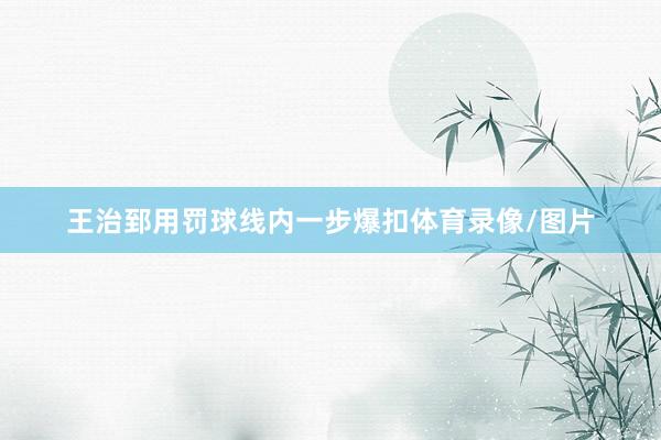 王治郅用罚球线内一步爆扣体育录像/图片