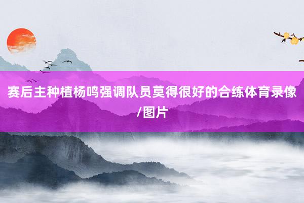 赛后主种植杨鸣强调队员莫得很好的合练体育录像/图片