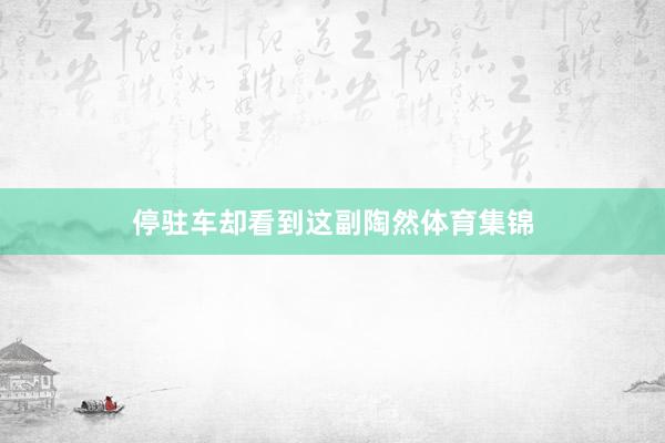 停驻车却看到这副陶然体育集锦