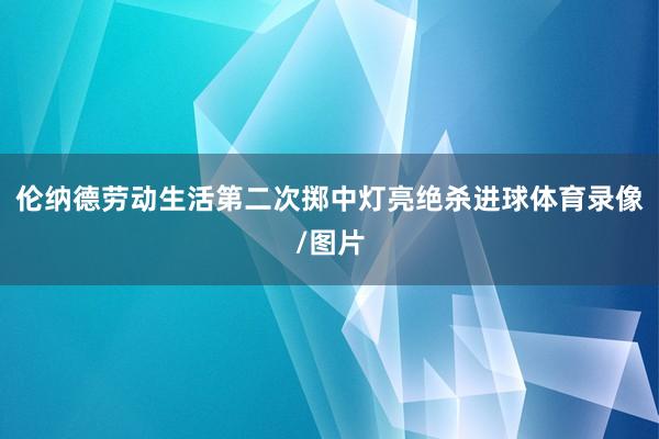 伦纳德劳动生活第二次掷中灯亮绝杀进球体育录像/图片