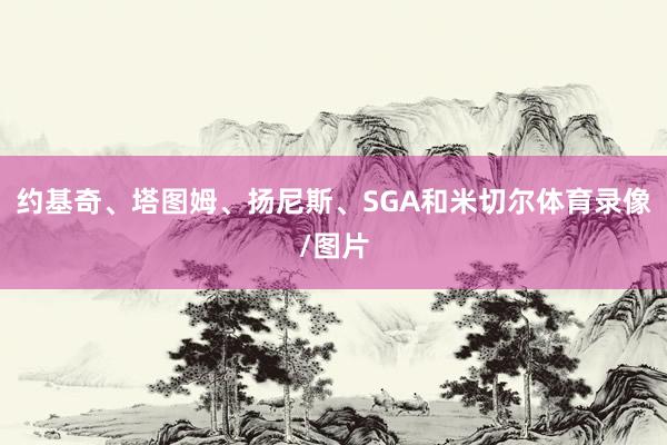 约基奇、塔图姆、扬尼斯、SGA和米切尔体育录像/图片