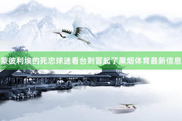 蒙彼利埃的死忠球迷看台则冒起了黑烟体育最新信息