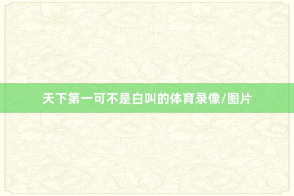 天下第一可不是白叫的体育录像/图片