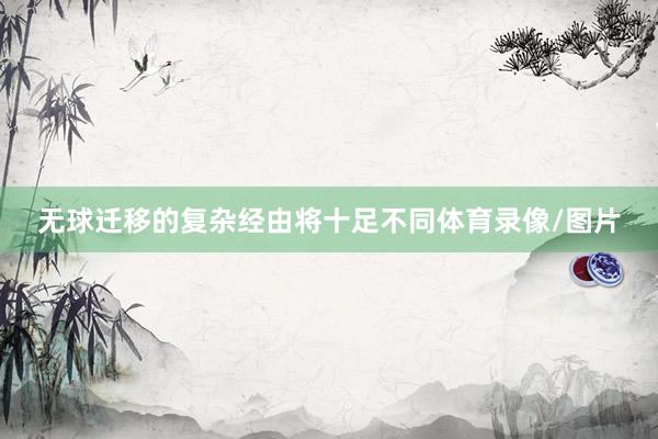 无球迁移的复杂经由将十足不同体育录像/图片
