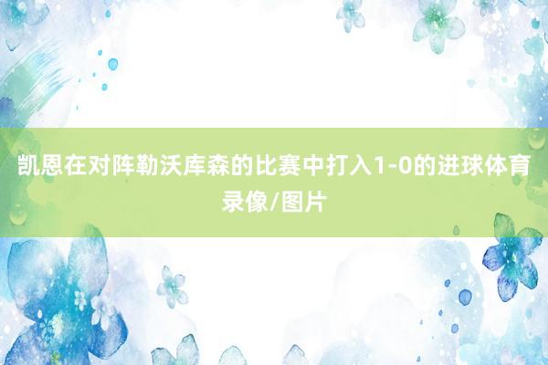 凯恩在对阵勒沃库森的比赛中打入1-0的进球体育录像/图片