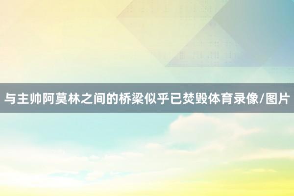 与主帅阿莫林之间的桥梁似乎已焚毁体育录像/图片
