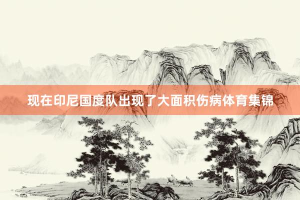 现在印尼国度队出现了大面积伤病体育集锦