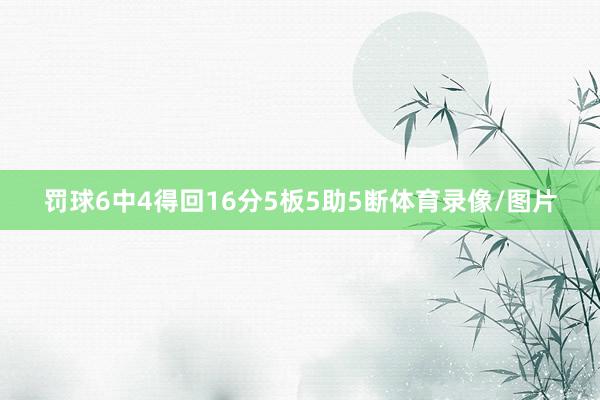 罚球6中4得回16分5板5助5断体育录像/图片