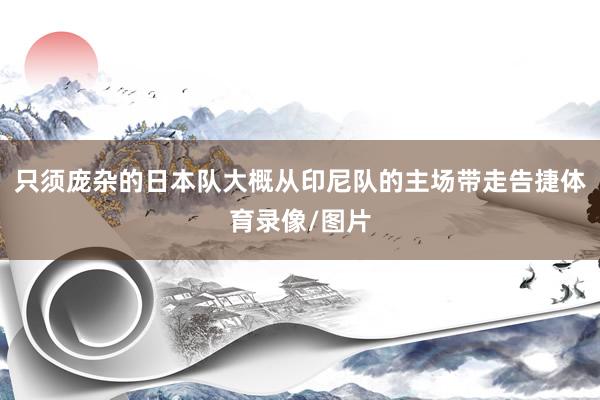 只须庞杂的日本队大概从印尼队的主场带走告捷体育录像/图片