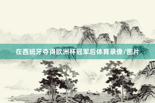 在西班牙夺得欧洲杯冠军后体育录像/图片