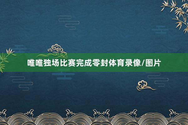 唯唯独场比赛完成零封体育录像/图片