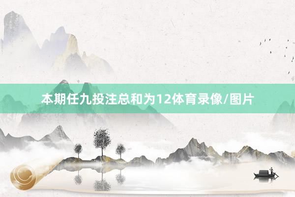 本期任九投注总和为12体育录像/图片