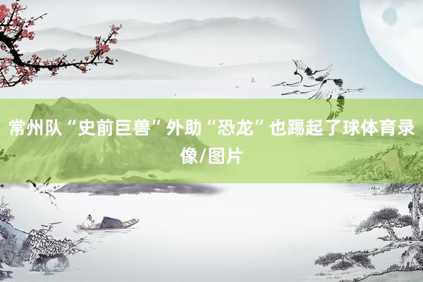 常州队“史前巨兽”外助“恐龙”也踢起了球体育录像/图片