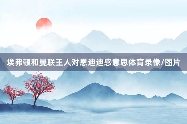 埃弗顿和曼联王人对恩迪迪感意思体育录像/图片