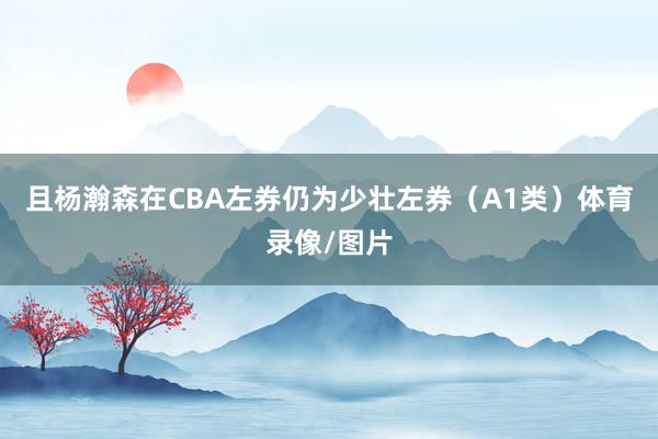 且杨瀚森在CBA左券仍为少壮左券（A1类）体育录像/图片