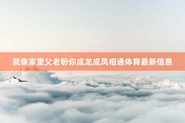 就像家里父老盼你成龙成凤相通体育最新信息