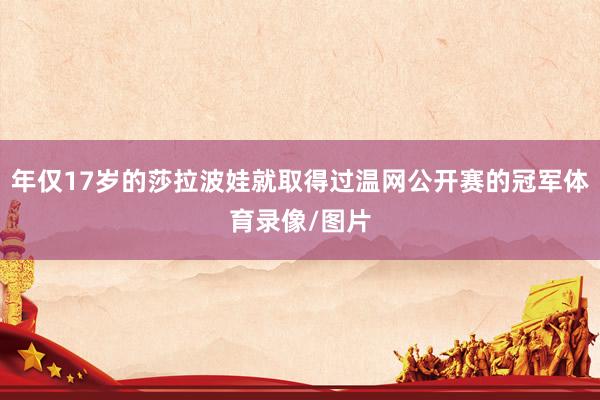 年仅17岁的莎拉波娃就取得过温网公开赛的冠军体育录像/图片